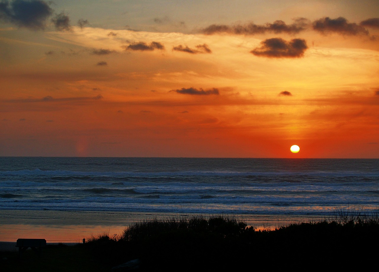 sunset sunrise shoreline free photo