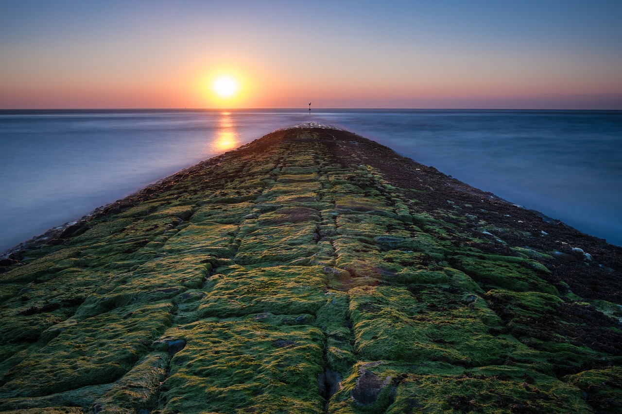sunset sea groyne free photo