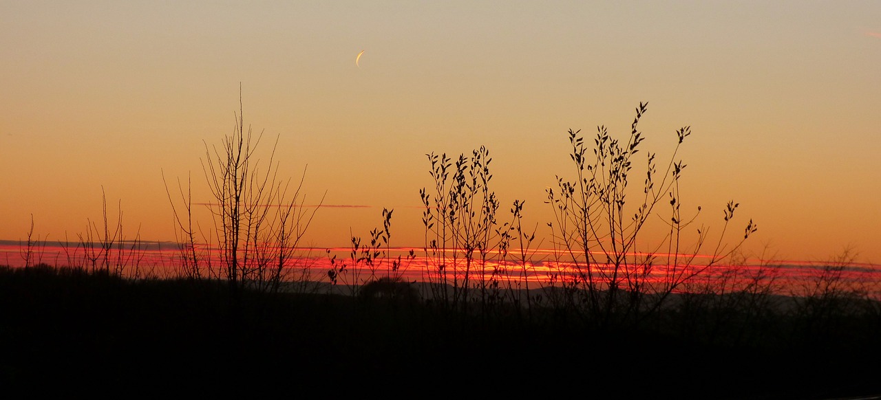 sunset silhouette colorful free photo