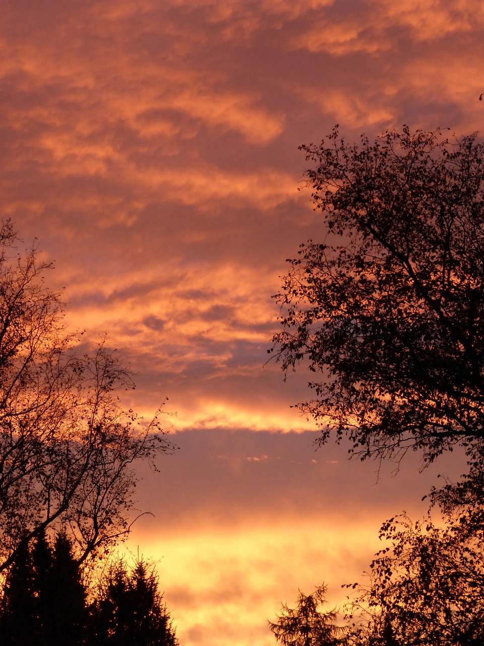 sunset sky dusk free photo