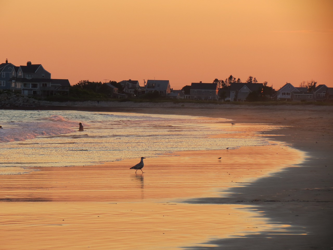 sunset coastline seascape free photo
