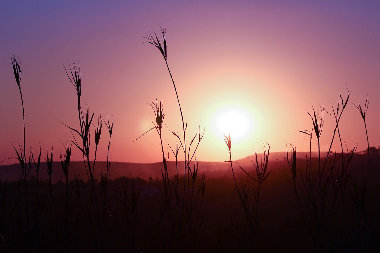 sunset silhouette landscape free photo
