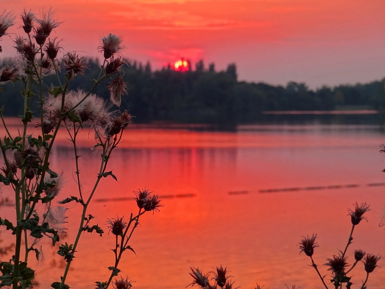 sunset thistle lake free photo