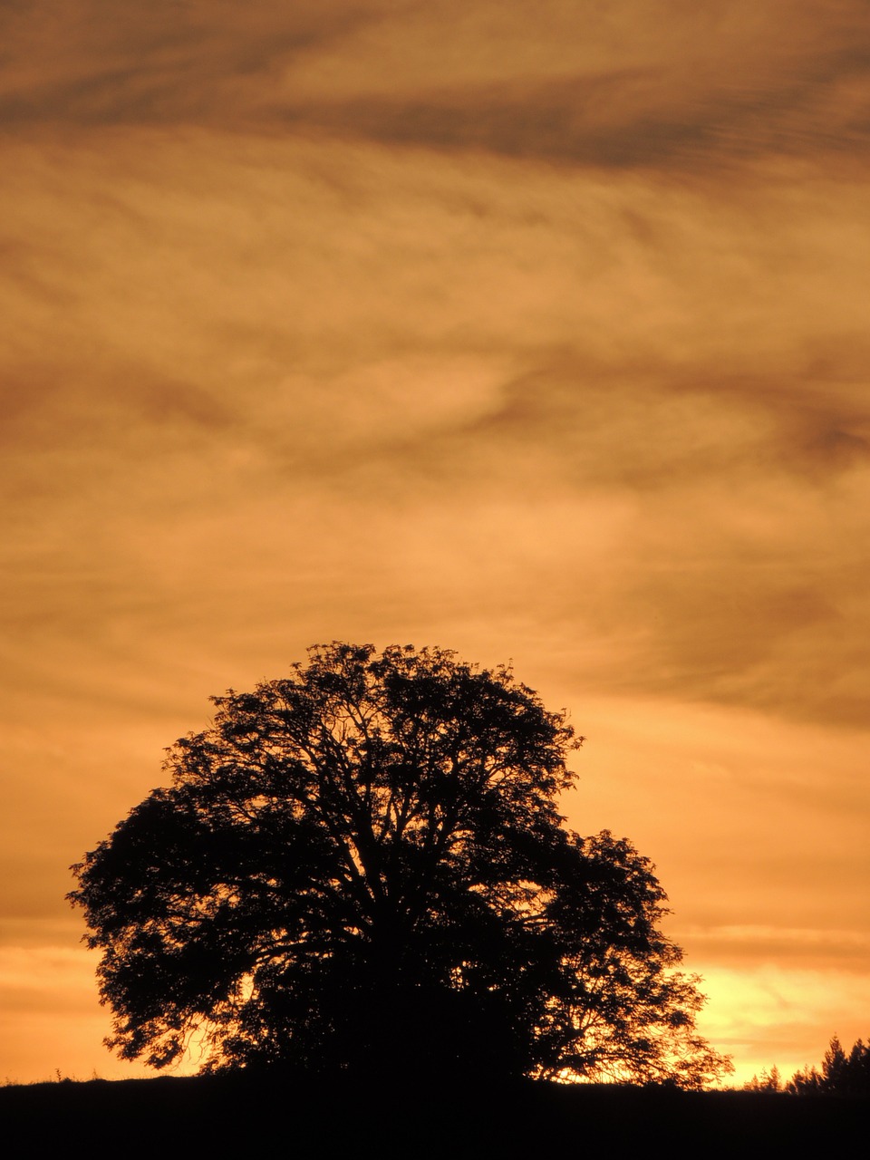 sunset sun mardore free photo