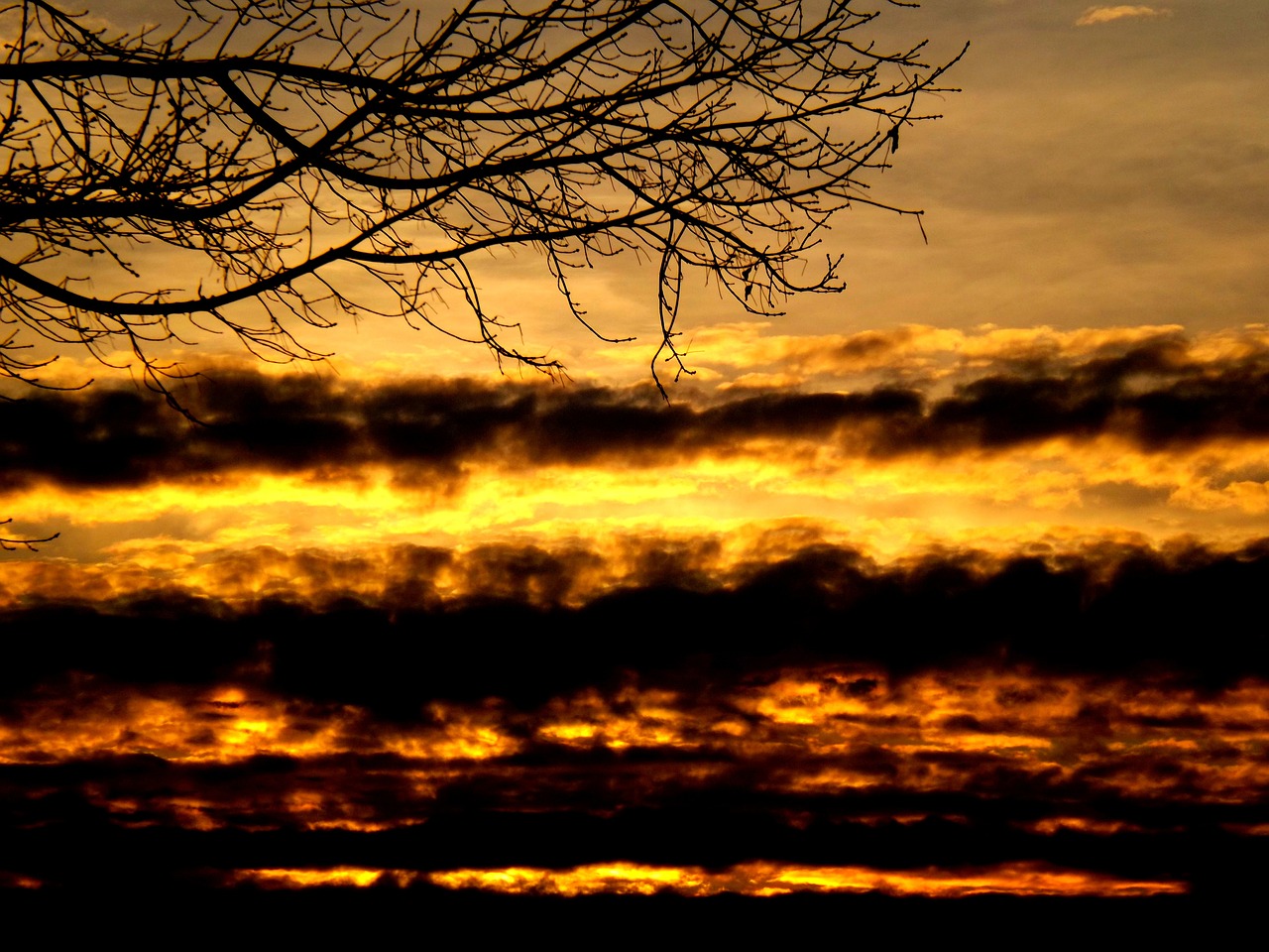 sunset sun cloud free photo