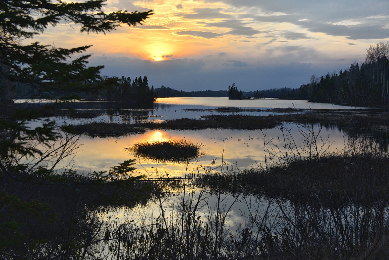 sunset nature marsh free photo