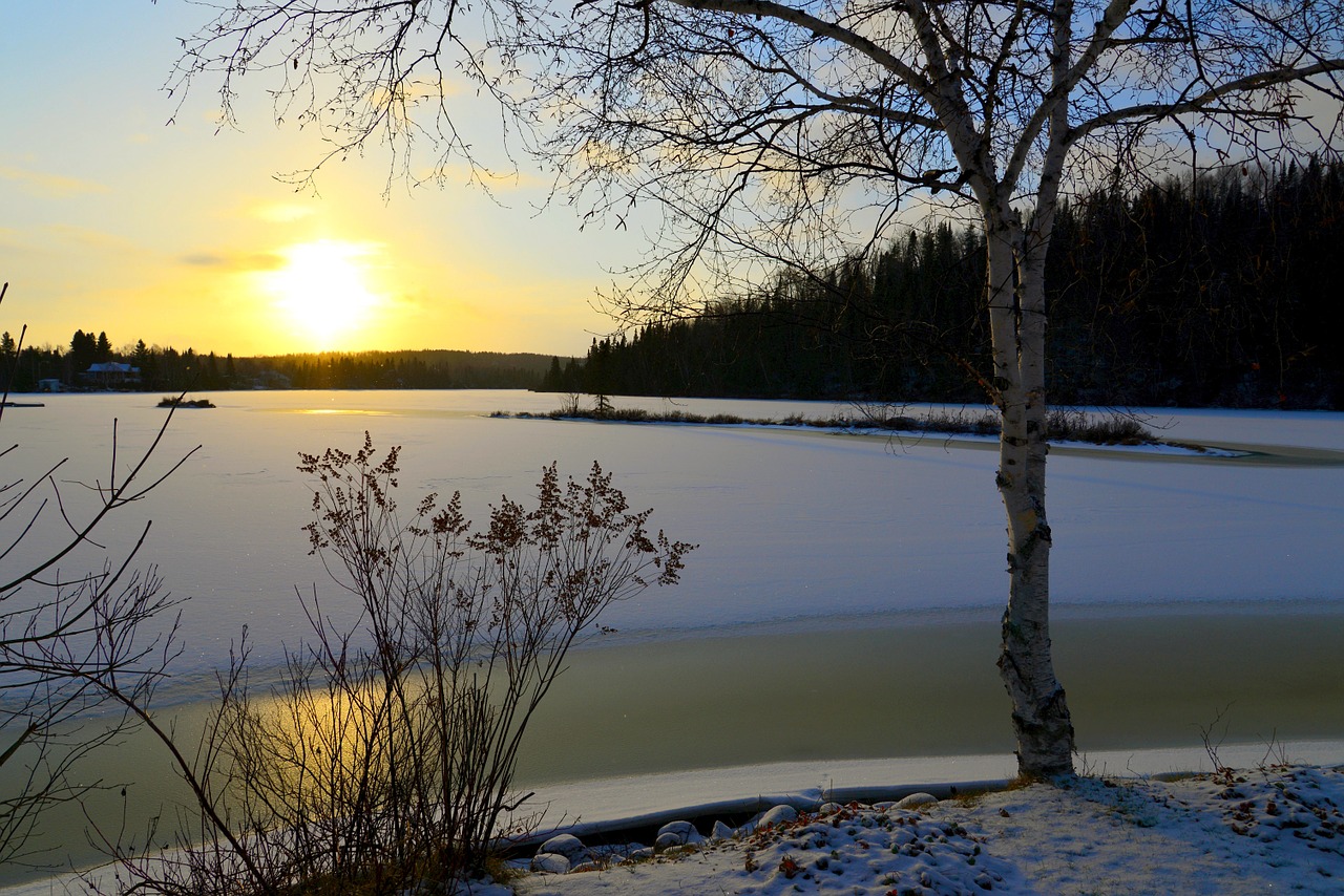 sunset ice tree free photo