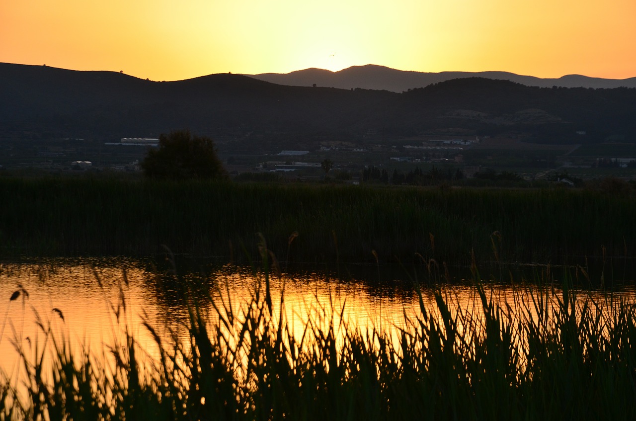 sunset sky landscapes free photo