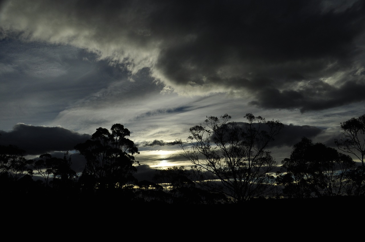 sunset clouds trees free photo