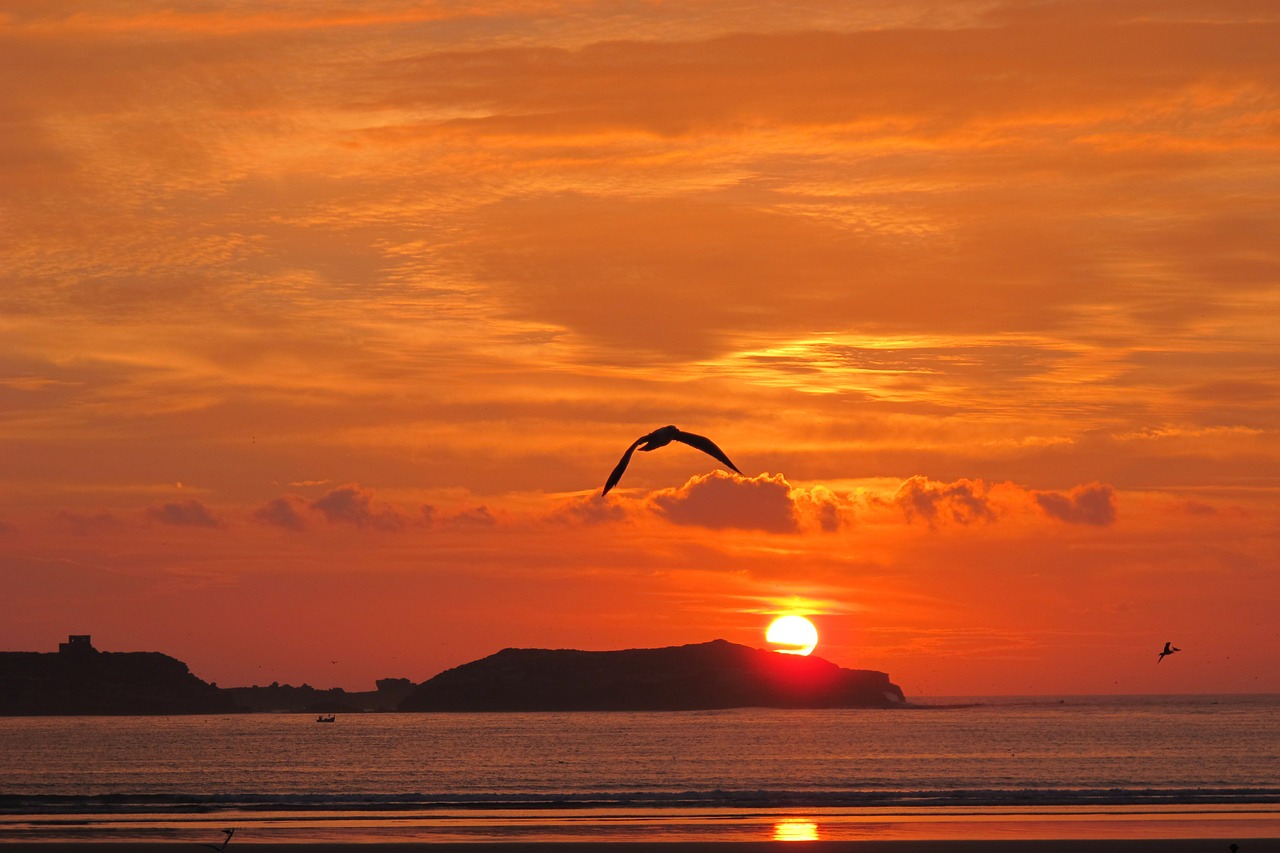 sunset essaouira morocco free photo