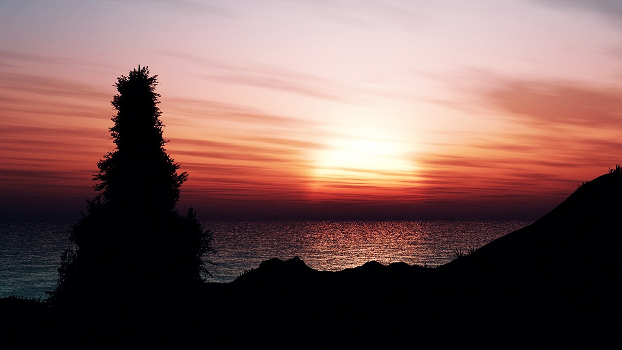 sunset sea tree free photo