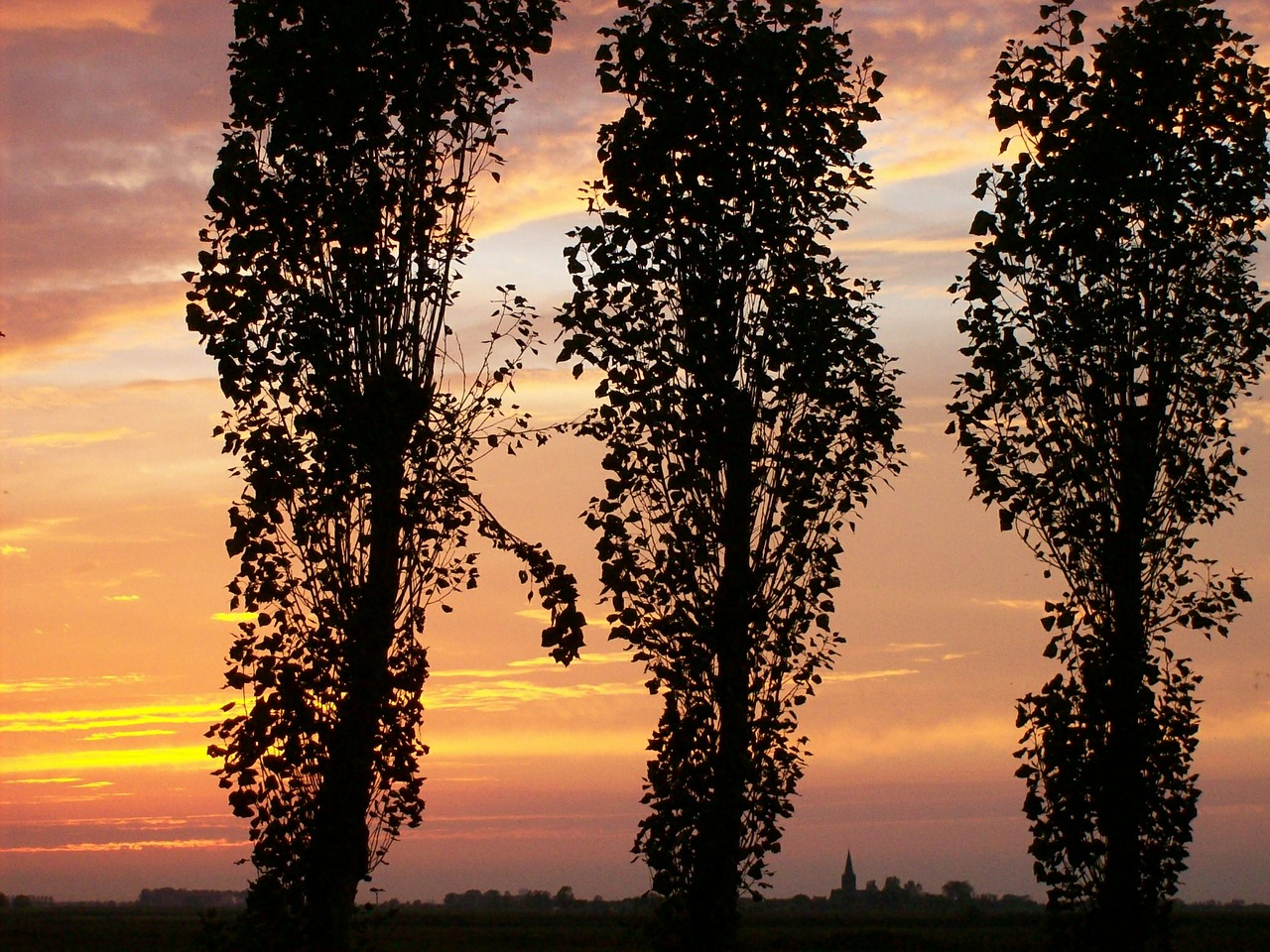 sunset houtave belgium free photo