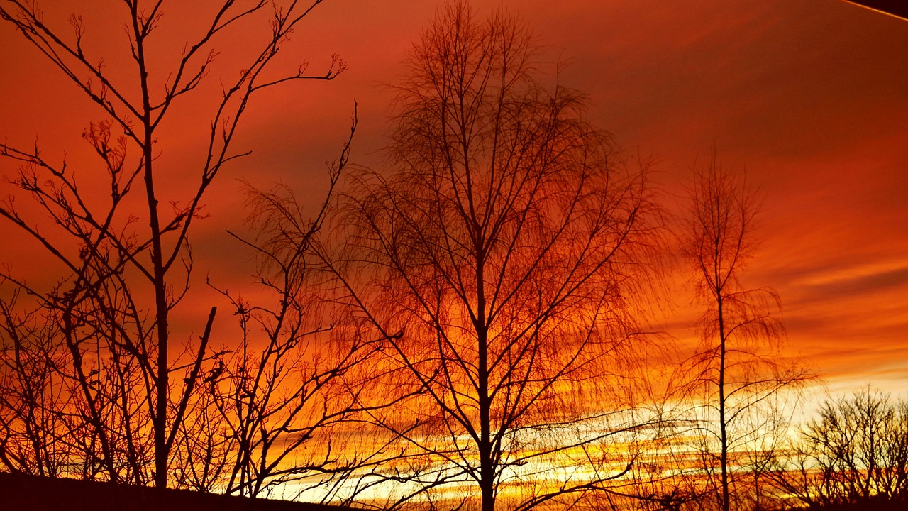 sunset evening sky red free photo