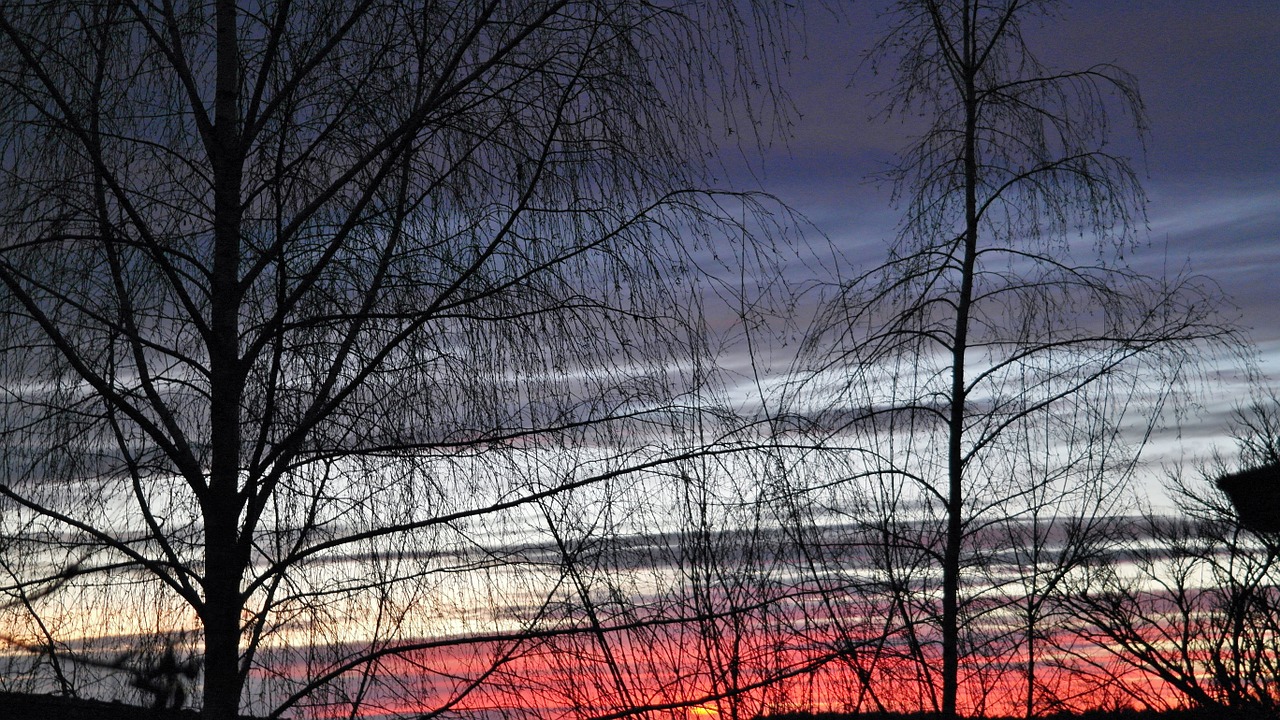 sunset evening sky red free photo