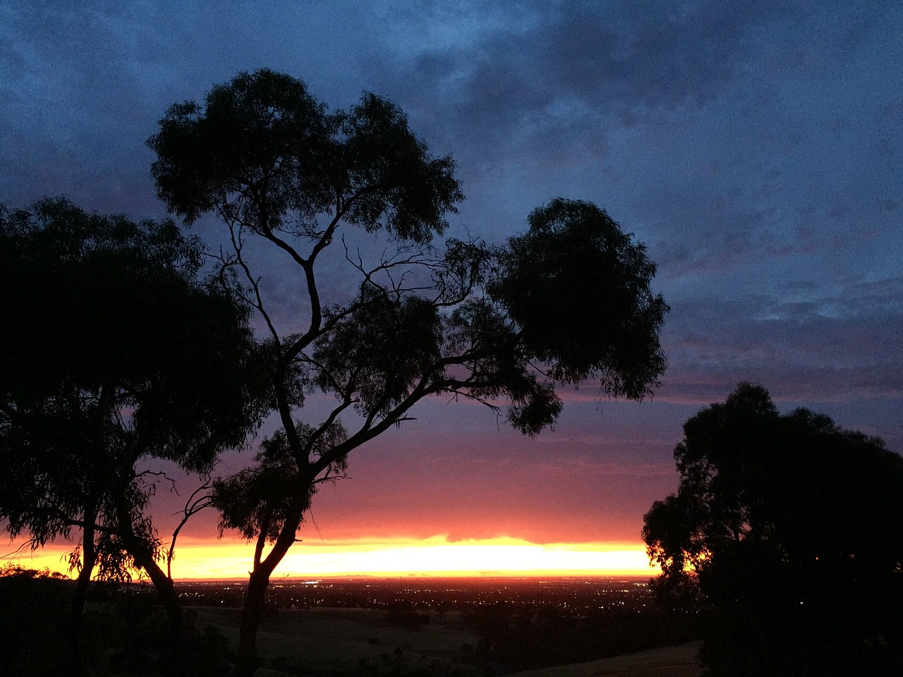 sunset tree horizon free photo