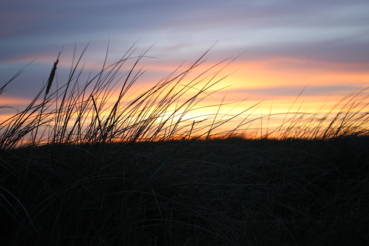 sunset dune landscape free photo