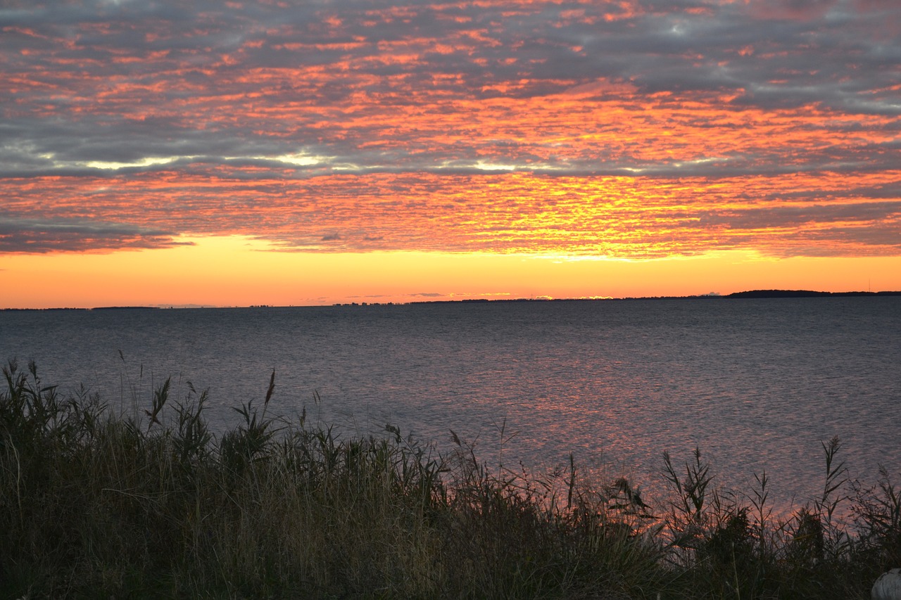 sunset water sea free photo