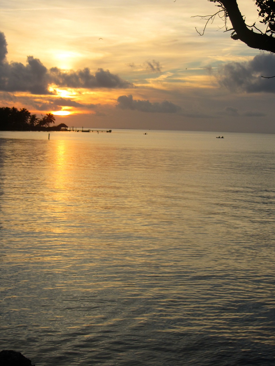 sunset ocean purple clouds free photo