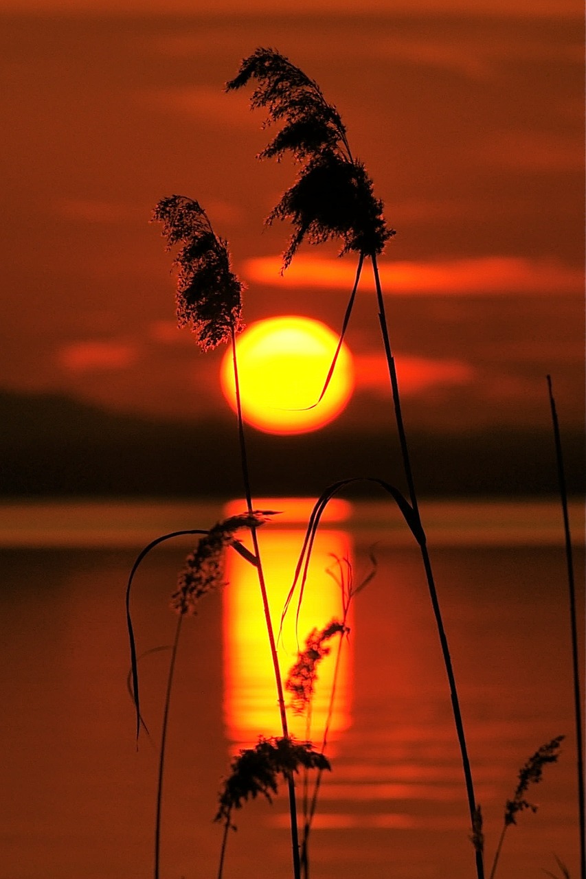 sunset lake lake garda free photo