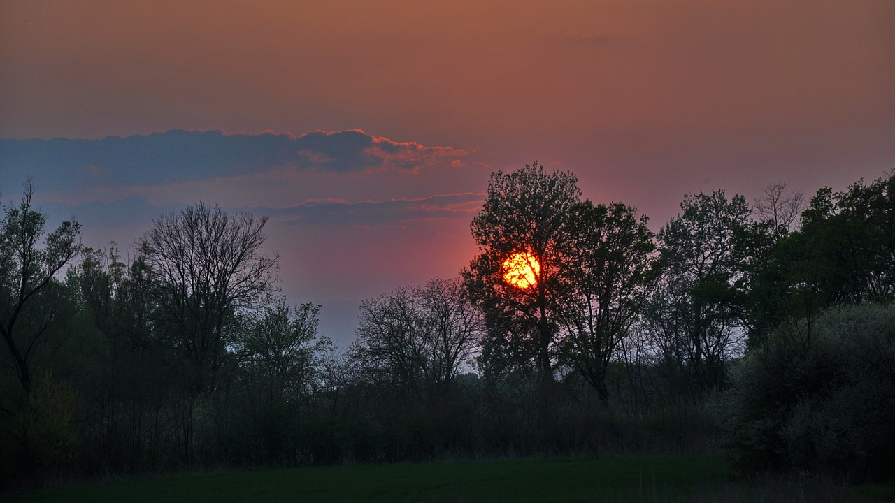 sunset autumn light free photo