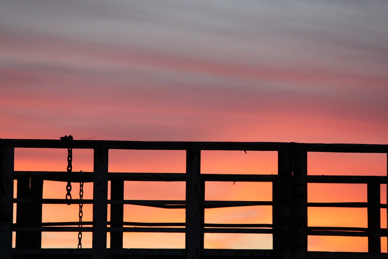 sunset colorful black free photo