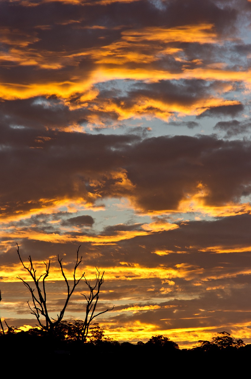 sunset sky clouds free photo