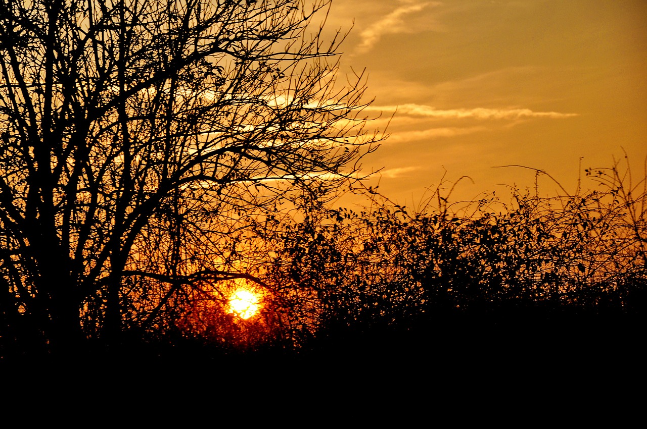 sunset summer yellow free photo