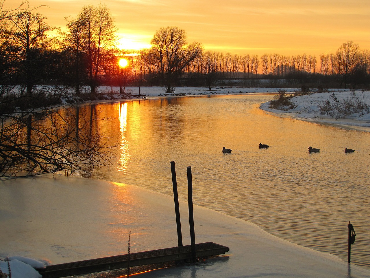 sunset snow landscape ducks free photo