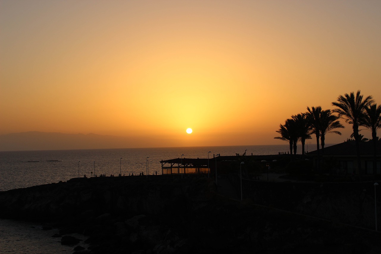 sunset sea palm trees free photo