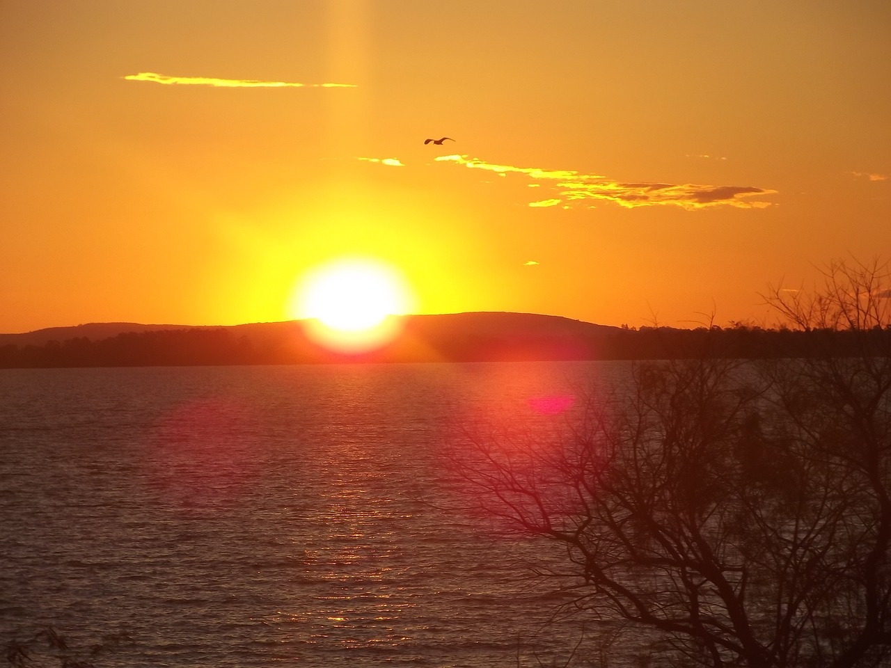 sunset porto alegre guaíba free photo