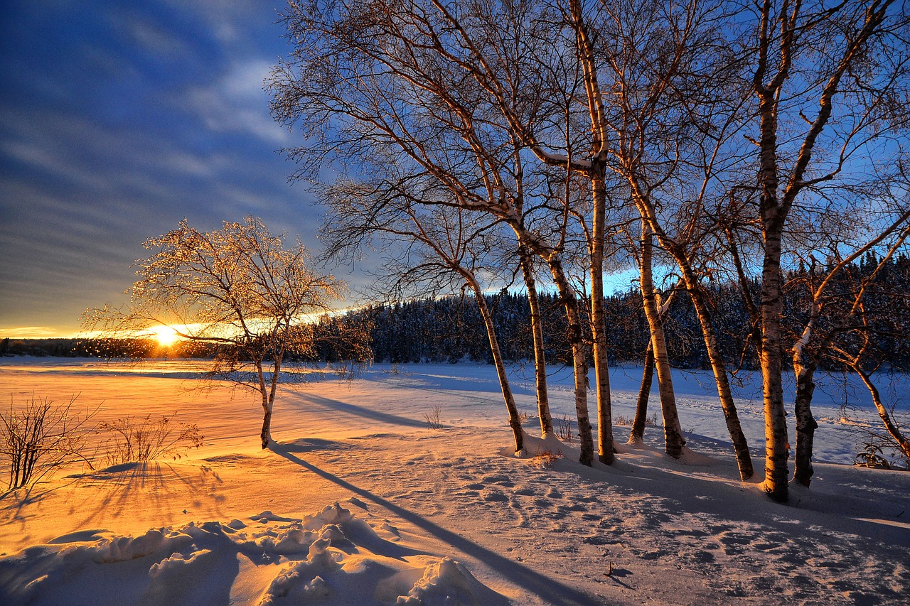 sunset winter snow free photo
