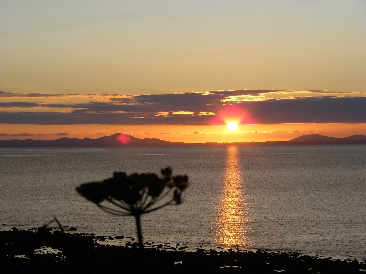 sunset sea silhouette free photo