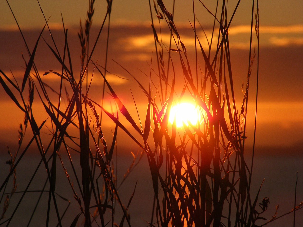 sunset scenic sky free photo