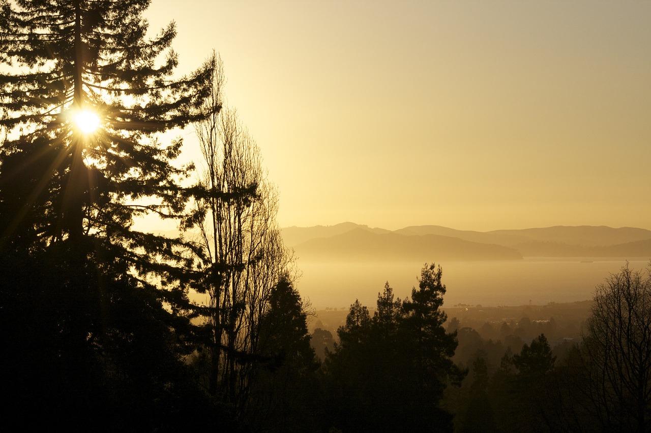 sunset silhouette nature free photo