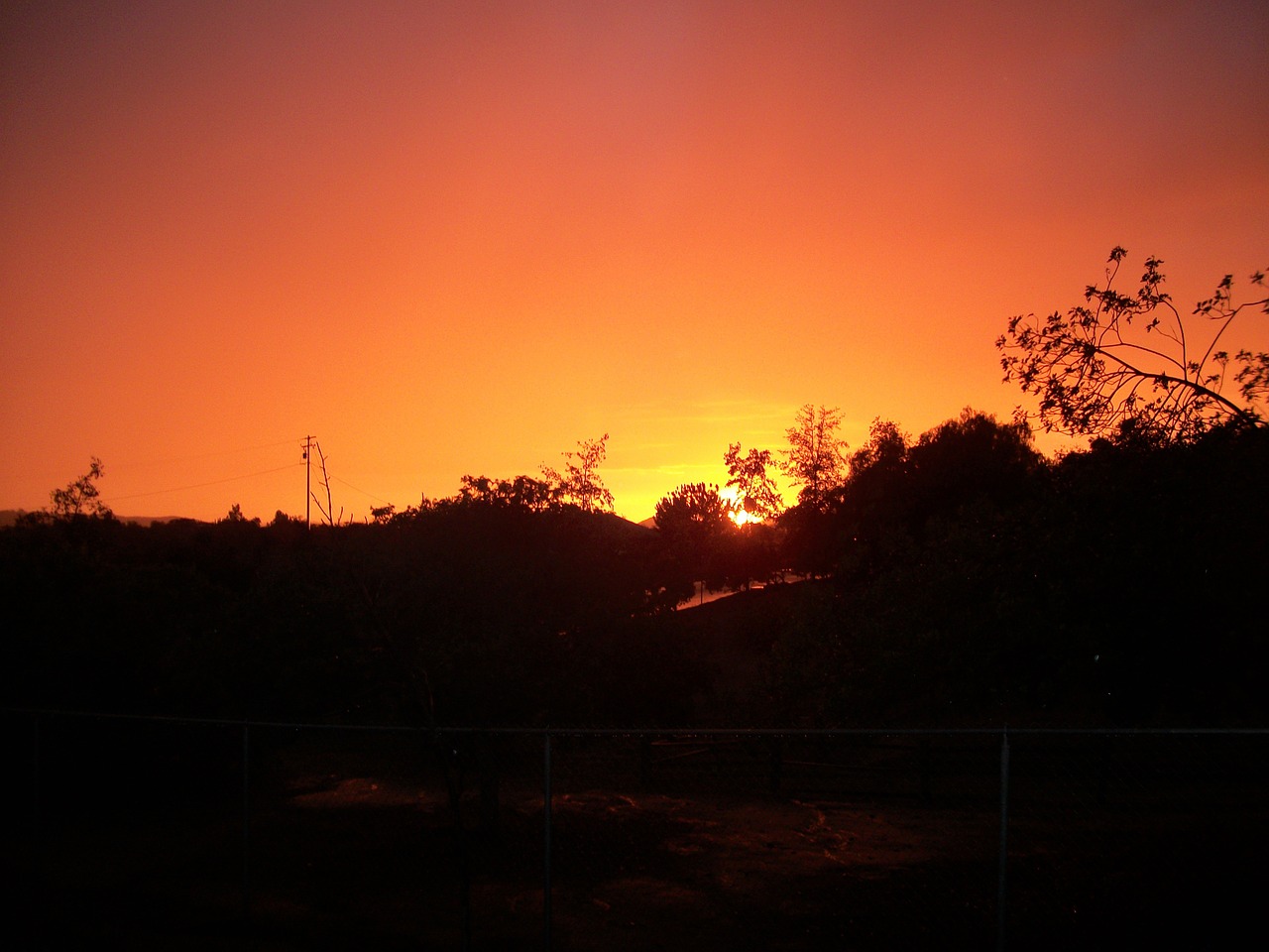 sunset orange yellow free photo