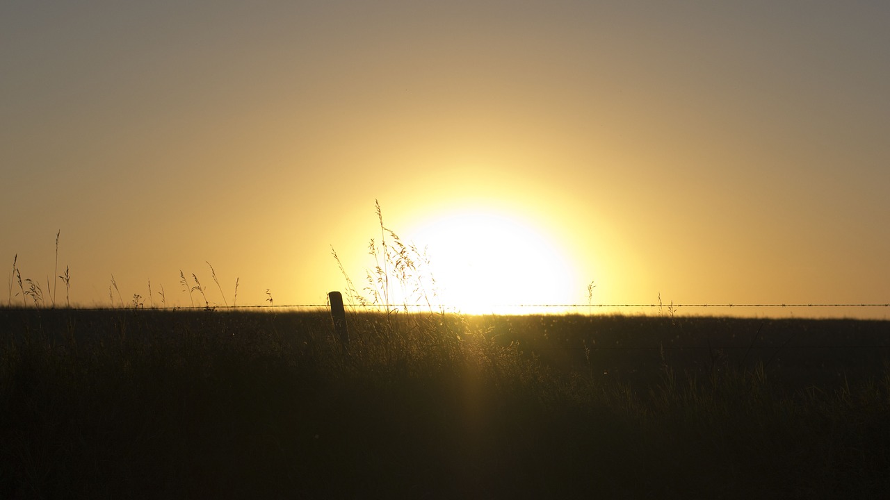 sunset fence field free photo