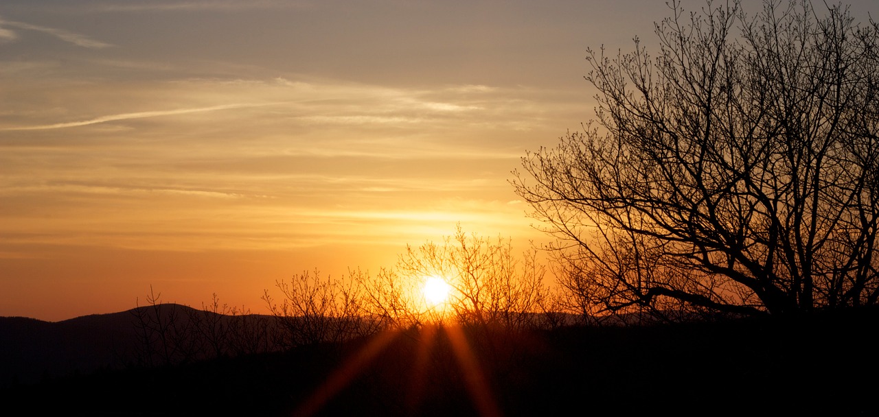 sunset sunlight orange free photo