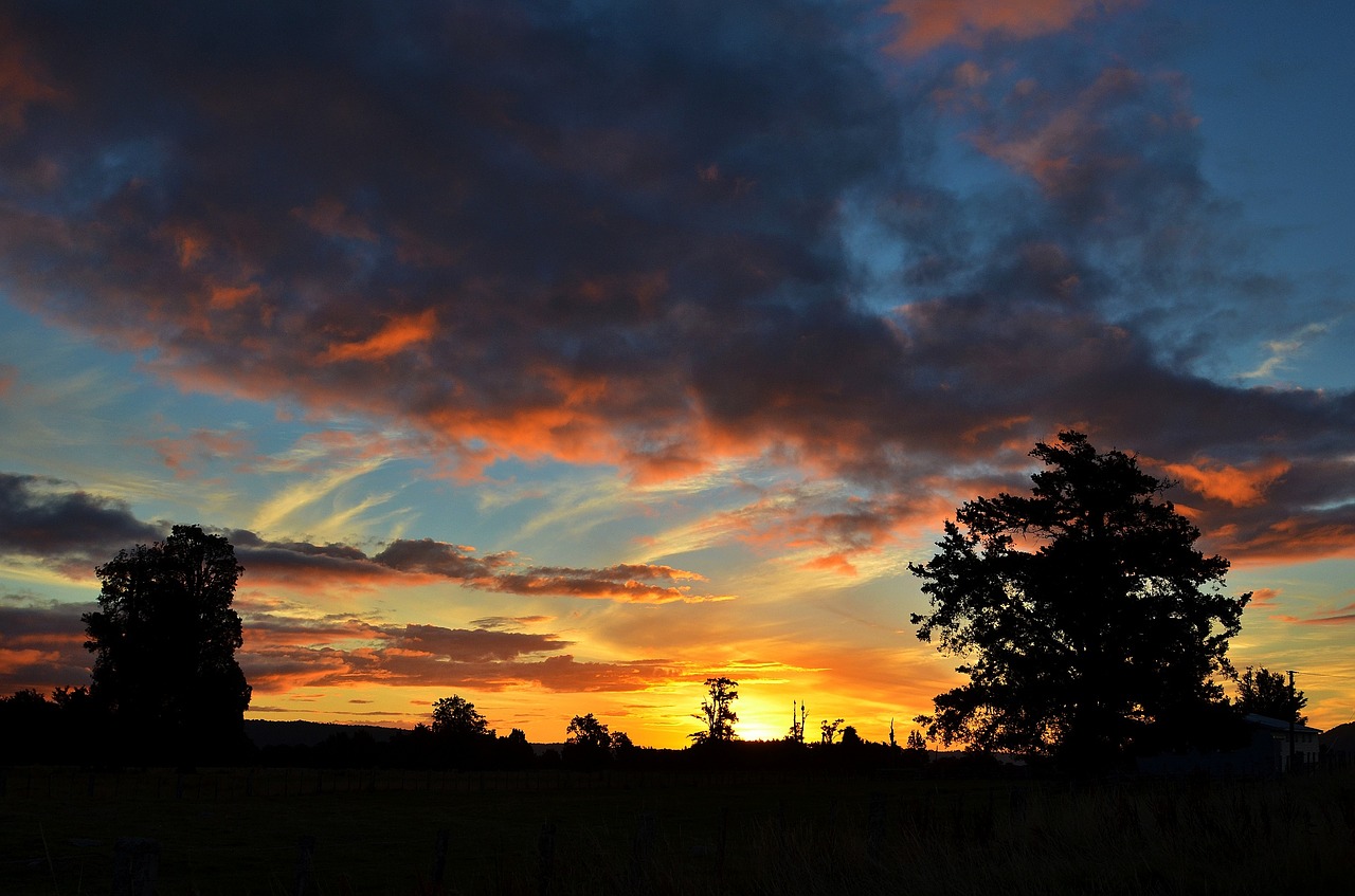 sunset the scenery new zealand free photo