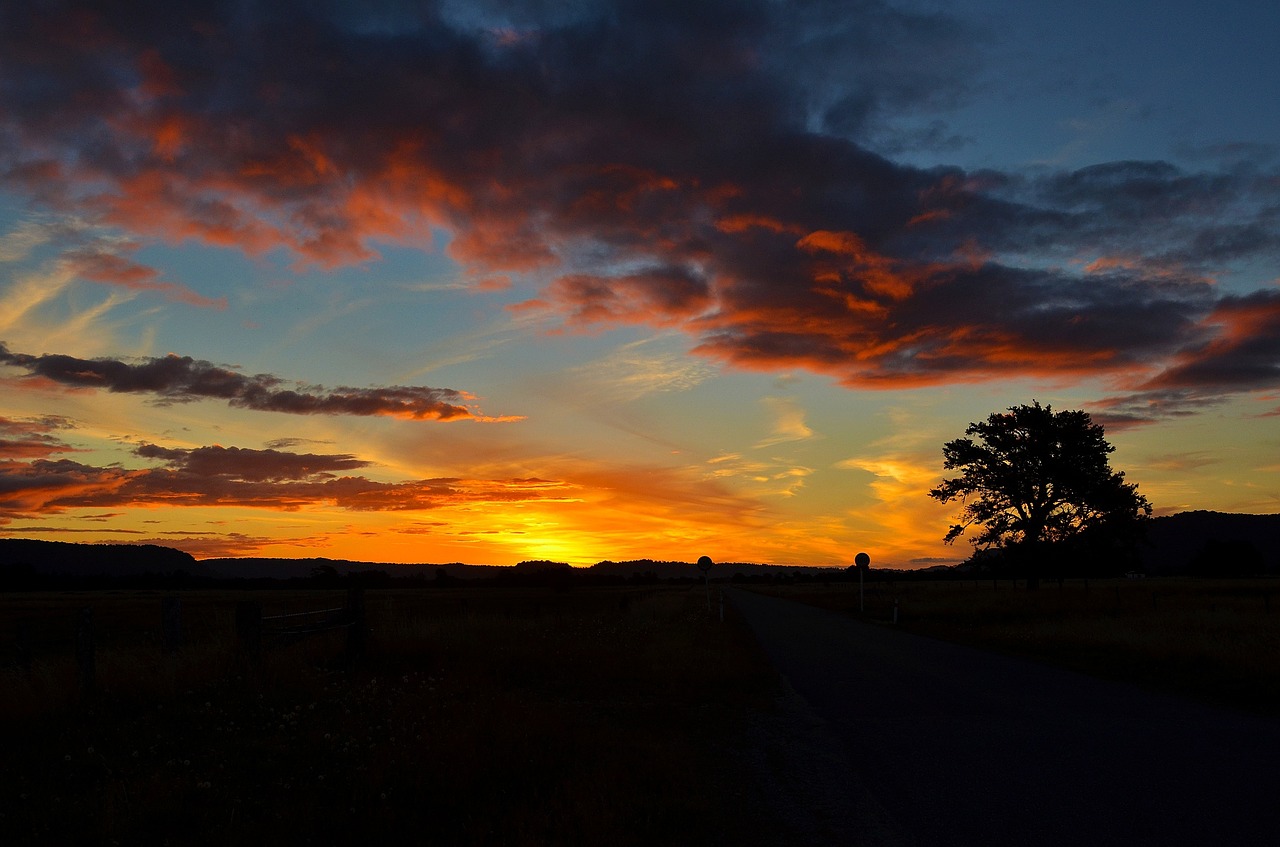 sunset the scenery new zealand free photo