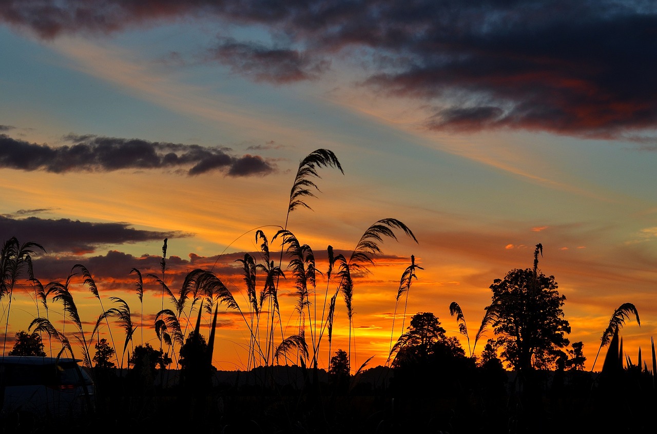 sunset beauty the scenery free photo