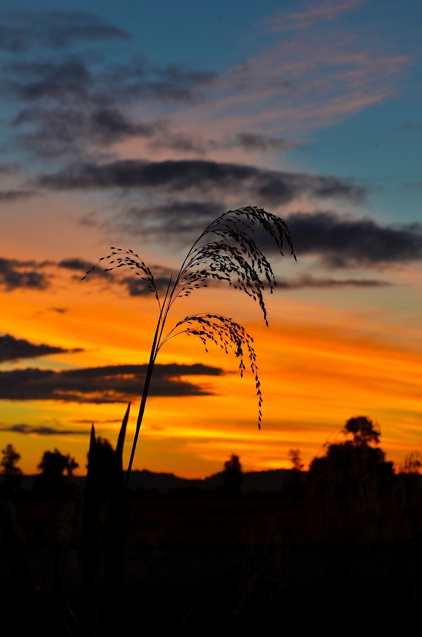 sunset the scenery beauty free photo