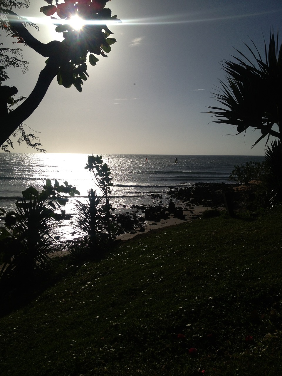 sunset jericoacoara jeri free photo