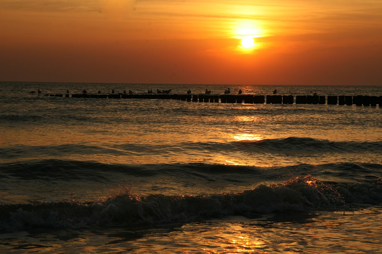 sunset beach silhouette free photo