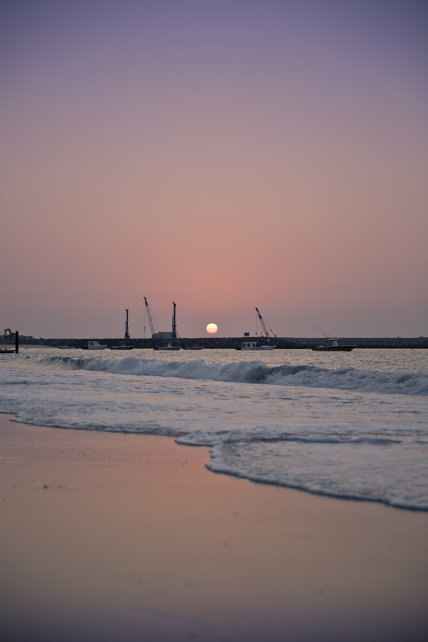 sunset beach cranes free photo