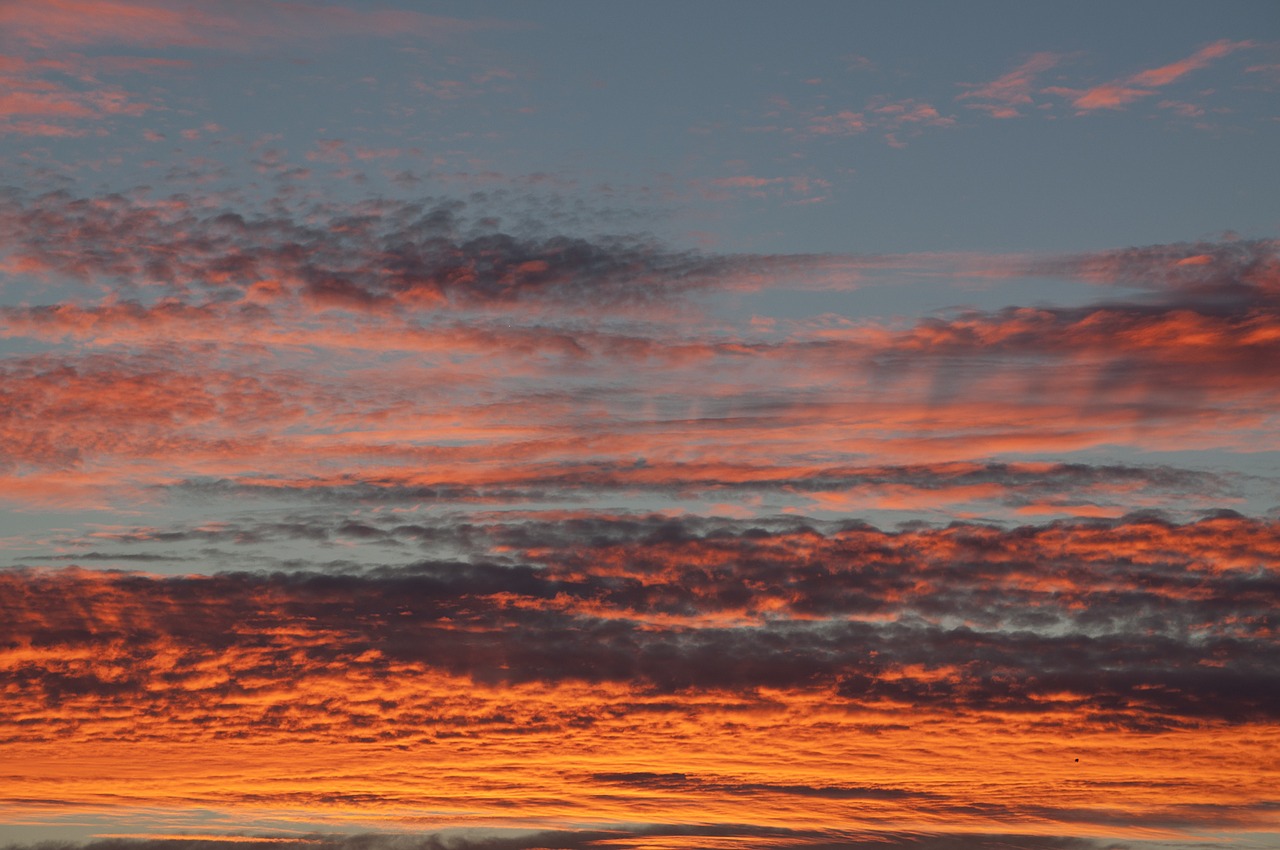 sunset sky pink free photo