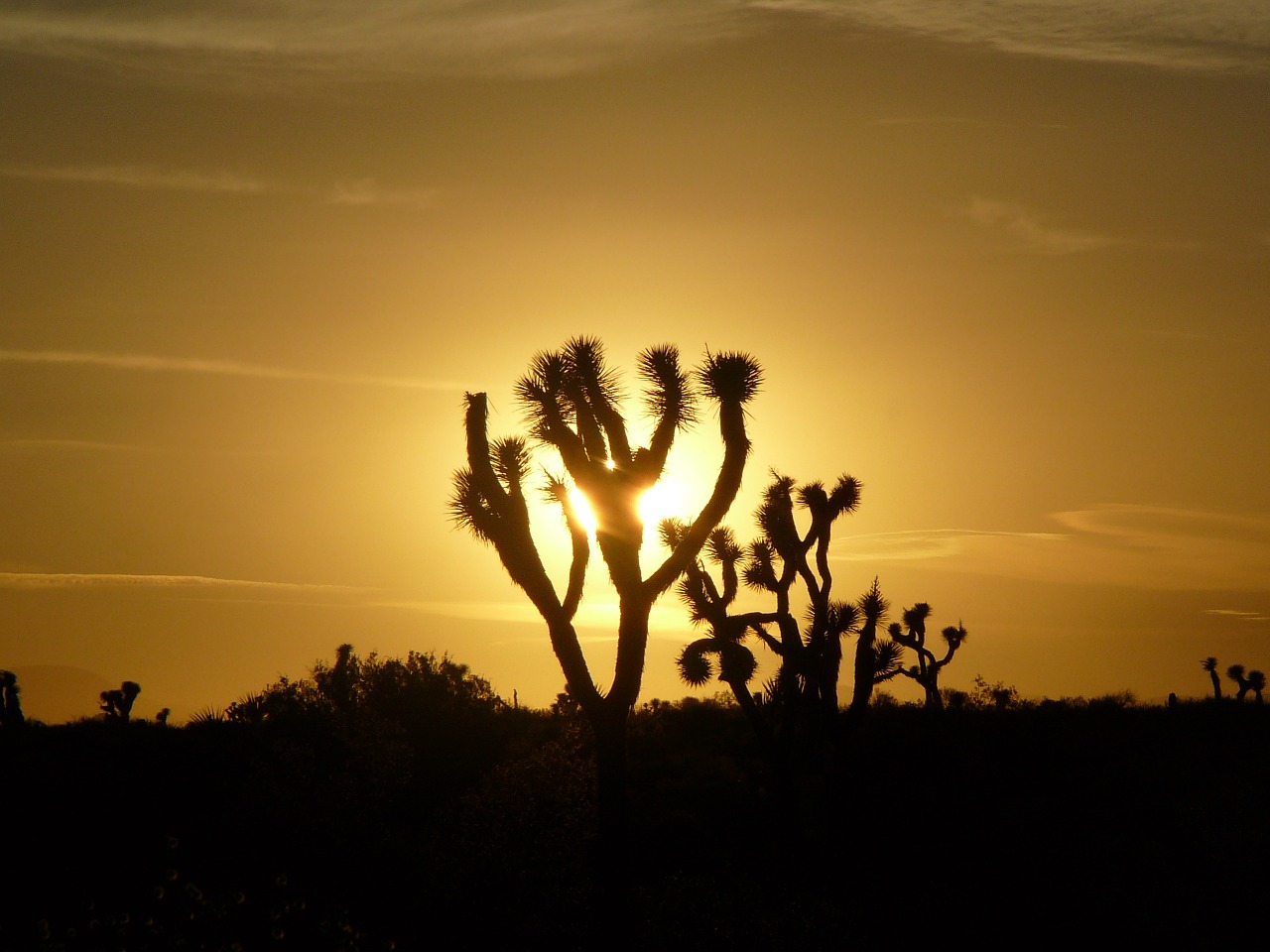 sunset horizon shadow free photo