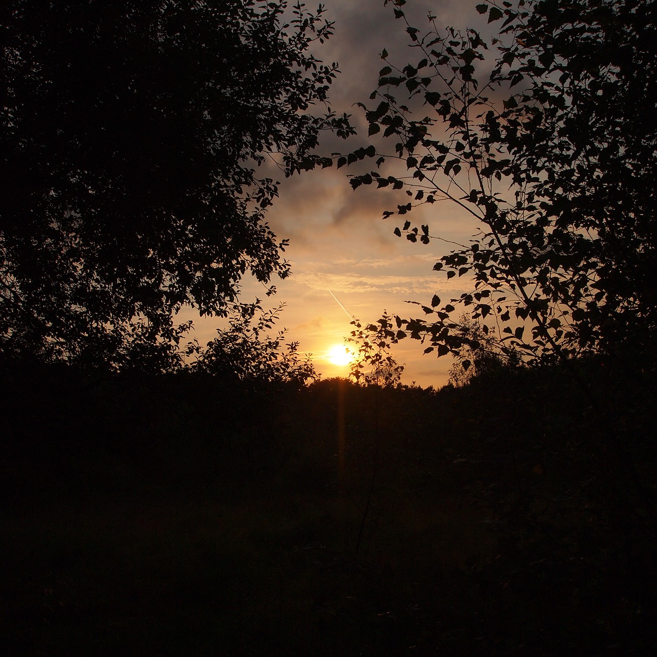 sunset evening sky orange free photo