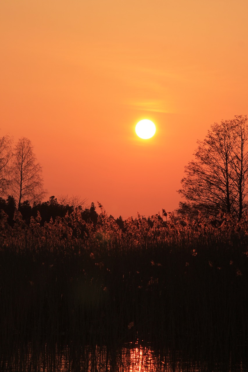 sunset water shadow free photo