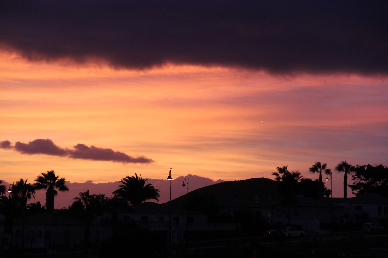 sunset sky palm trees free photo