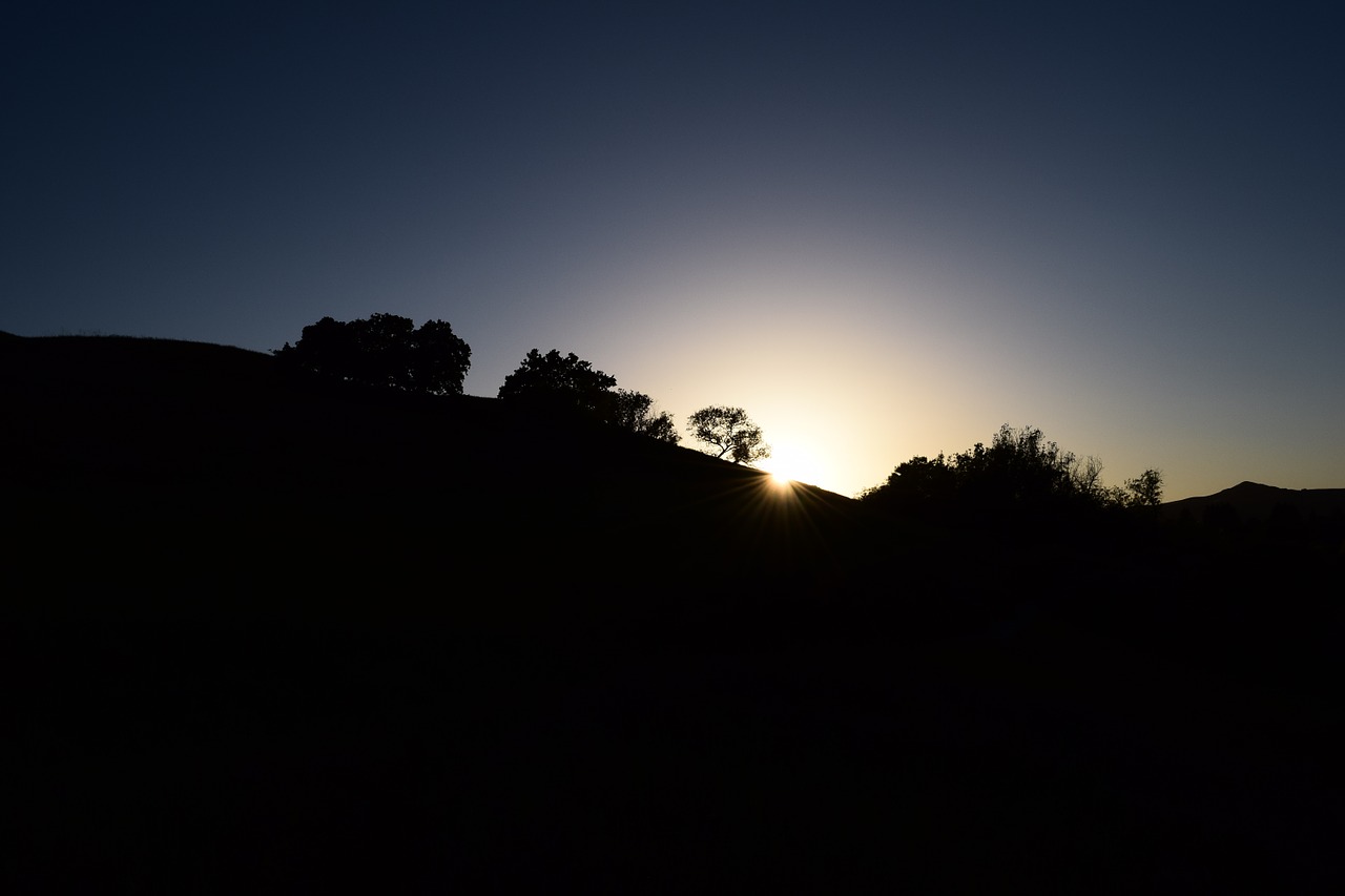 sunset backlight silhouettes free photo